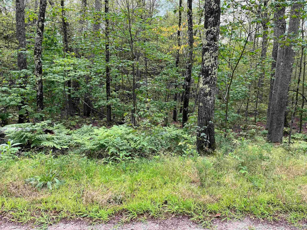 40 Huttwil Drive Madison NH 03849
