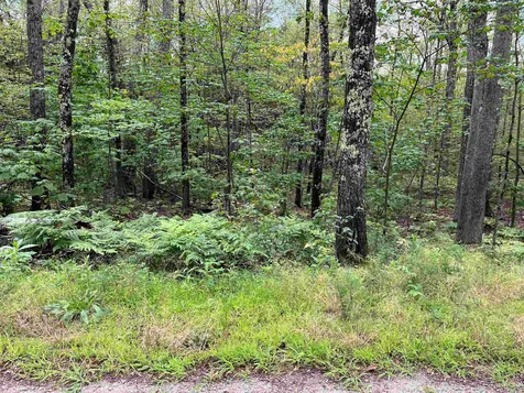 40 Huttwil Drive Madison NH 03849