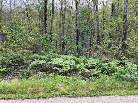 37 Huttwil Drive Madison NH 03849