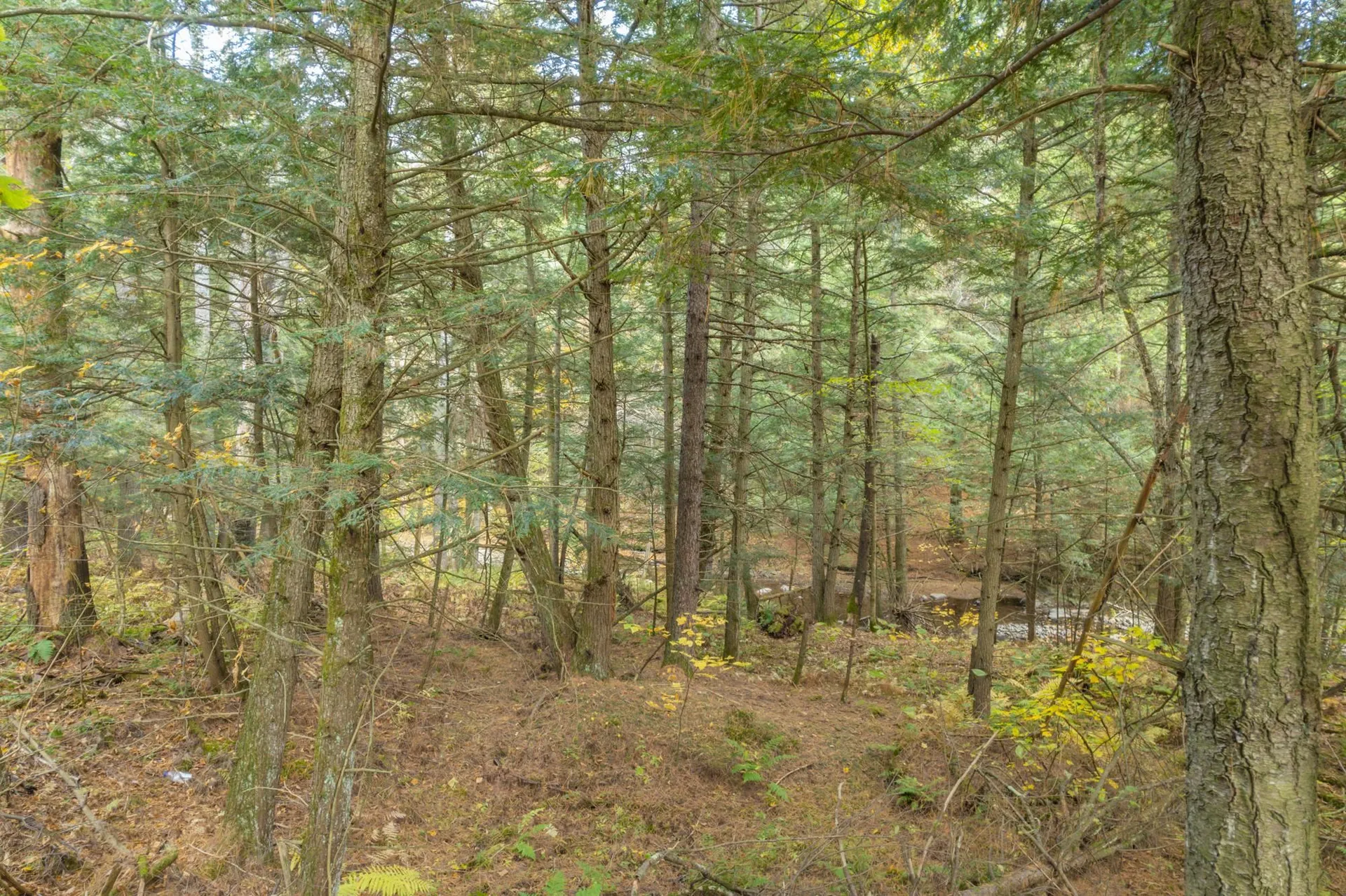 00 North Cambridge Road Cambridge VT 05464