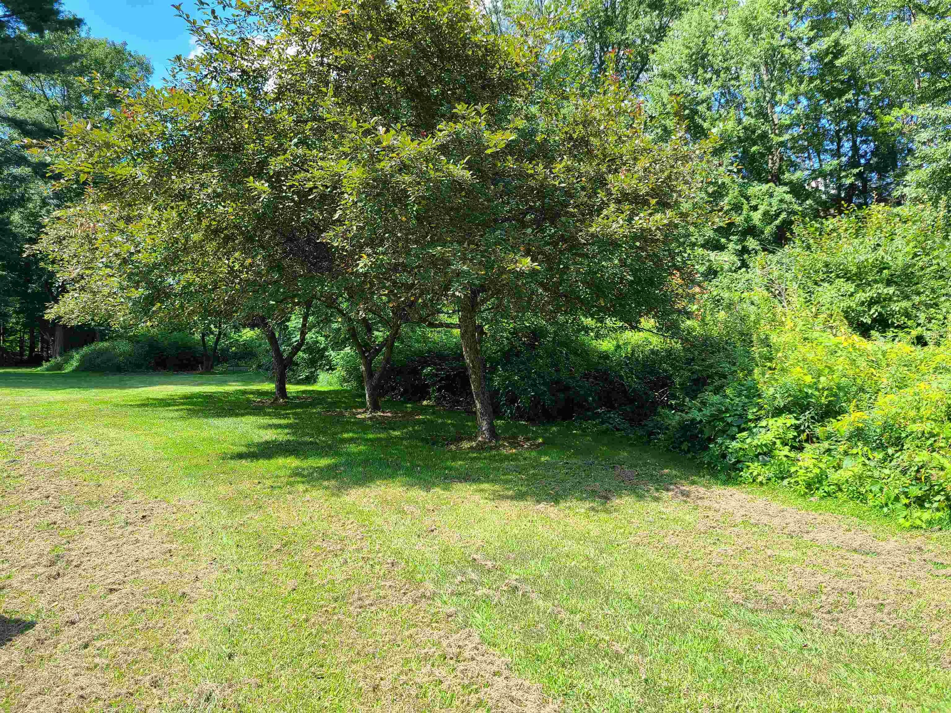 2 Greenfield Road Essex VT 05452