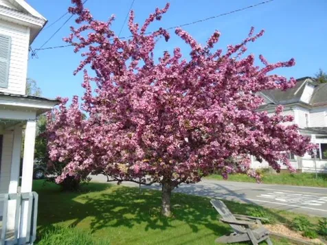 17 Ethan Allen Drive Canaan VT 05903