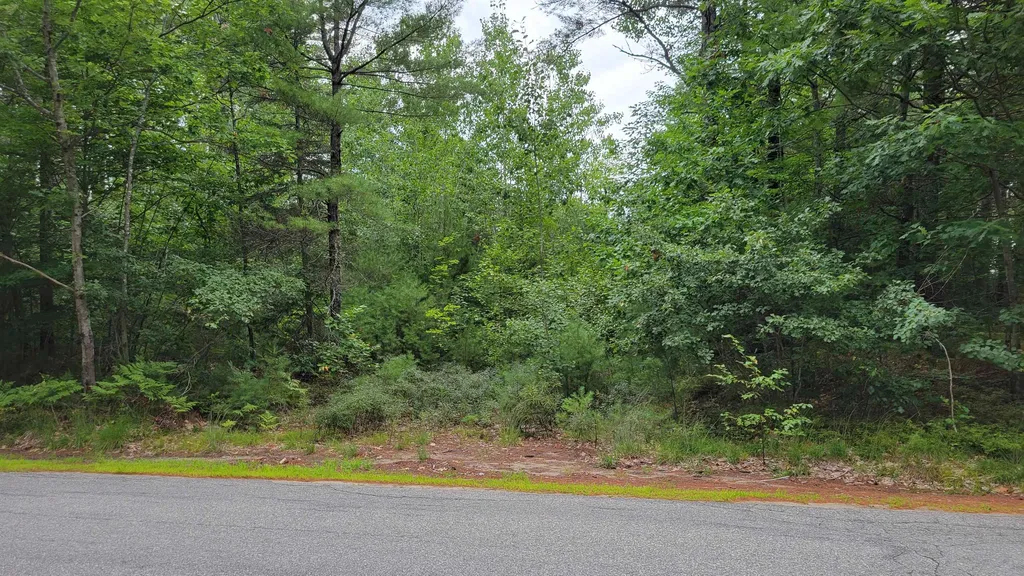 0 Pine River Road Effingham NH 03882
