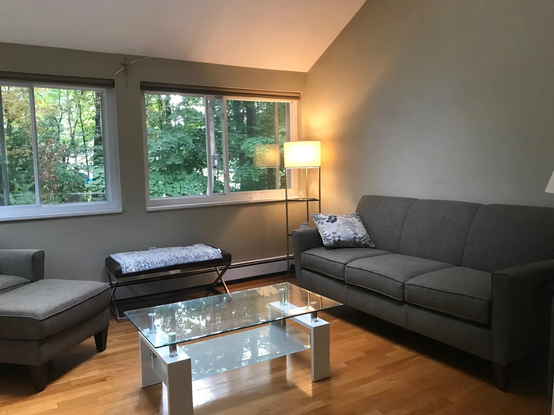 17 Cimmarron Drive Nashua NH 03062