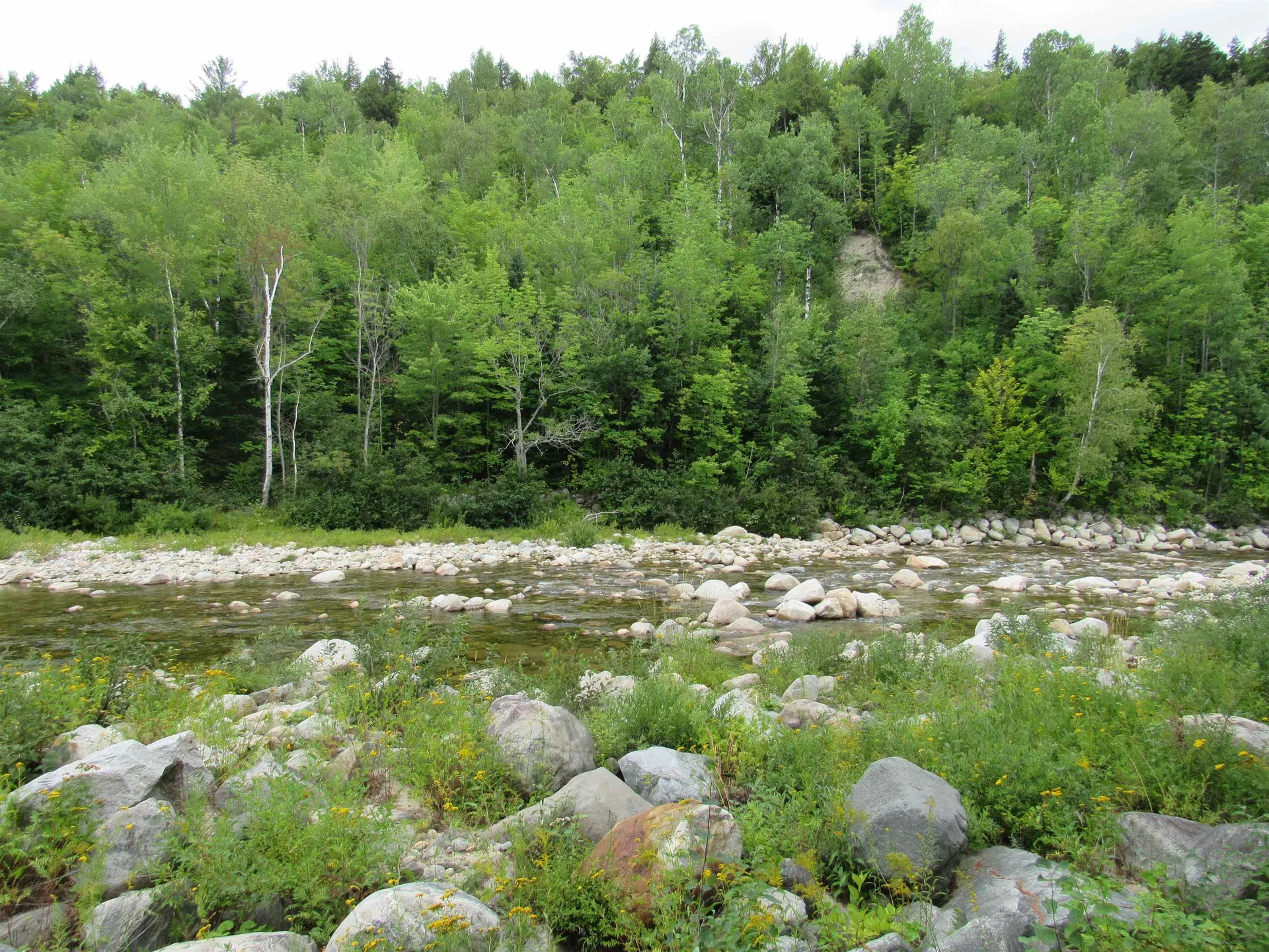 2 White Birch Lane Gorham NH 03581