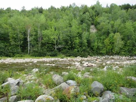 2 White Birch Lane Gorham NH 03581