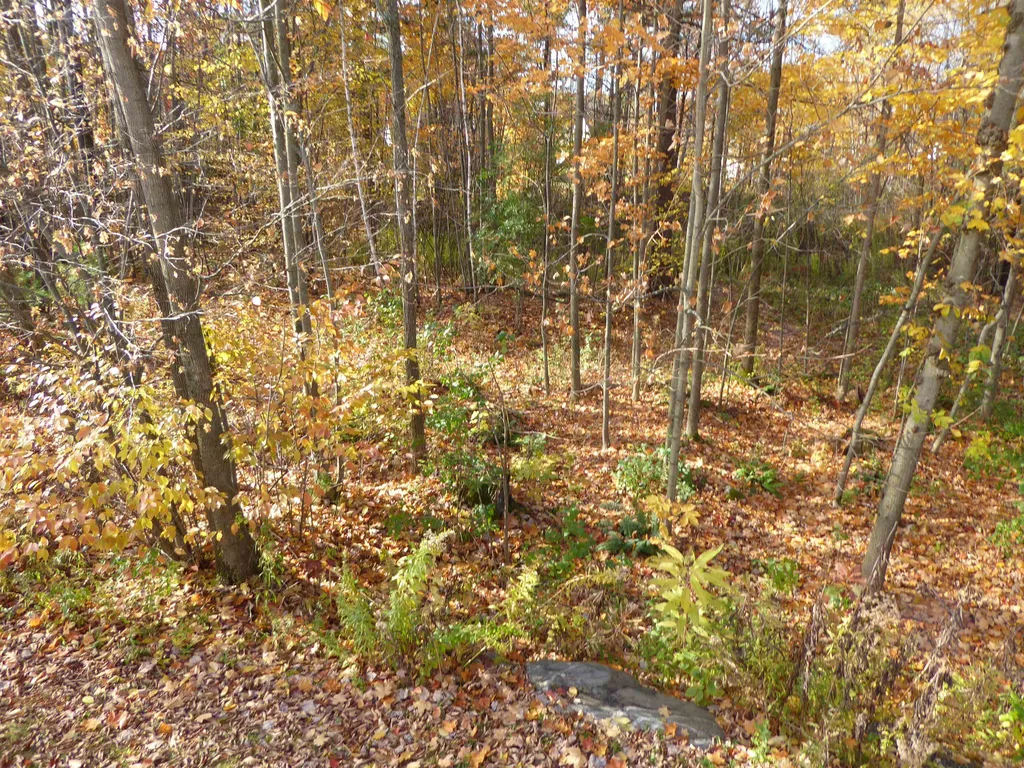 21 Doubleday Lane Essex VT 05452