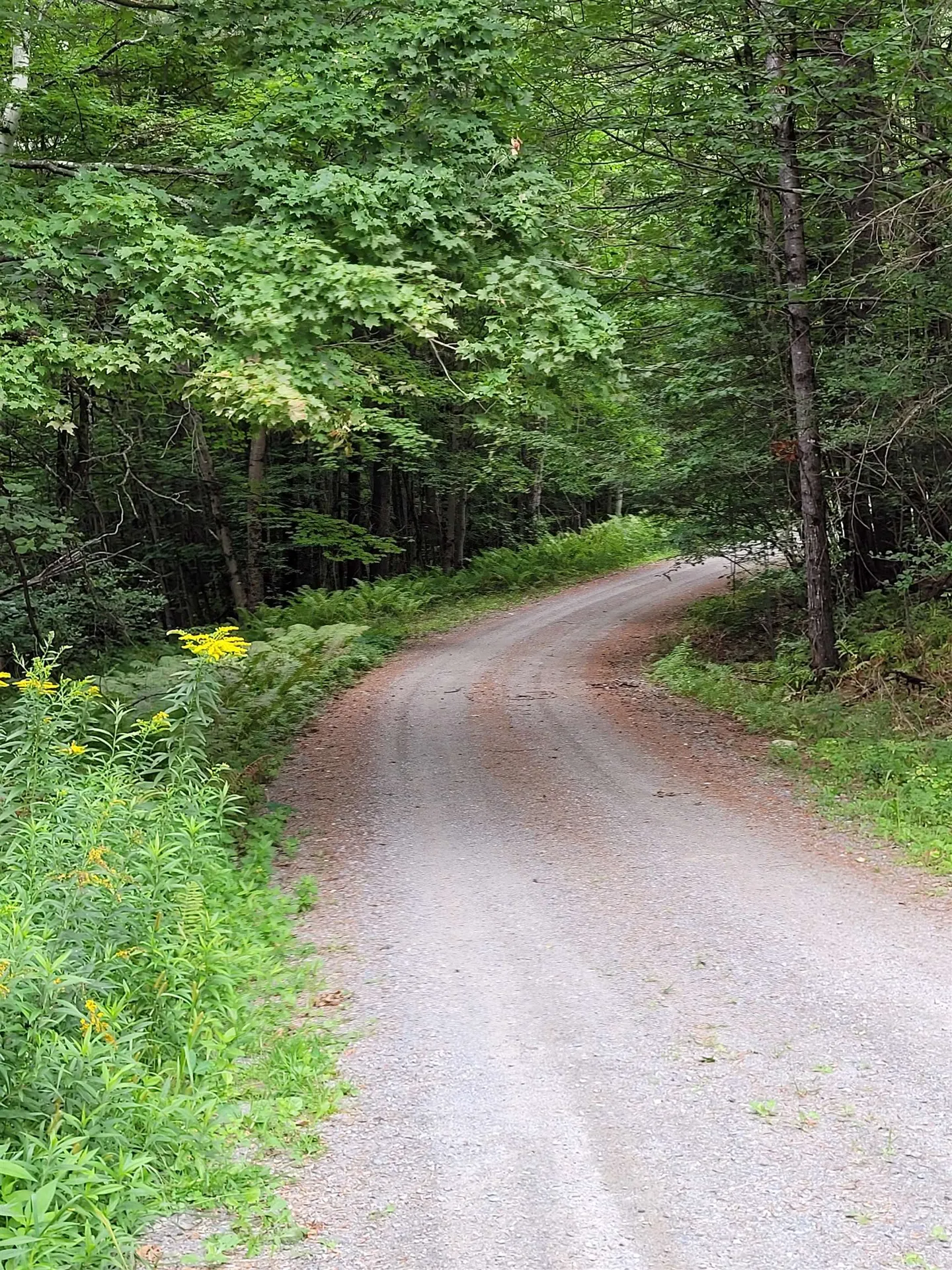 331 Stapelfeld Drive Ryegate VT 05081
