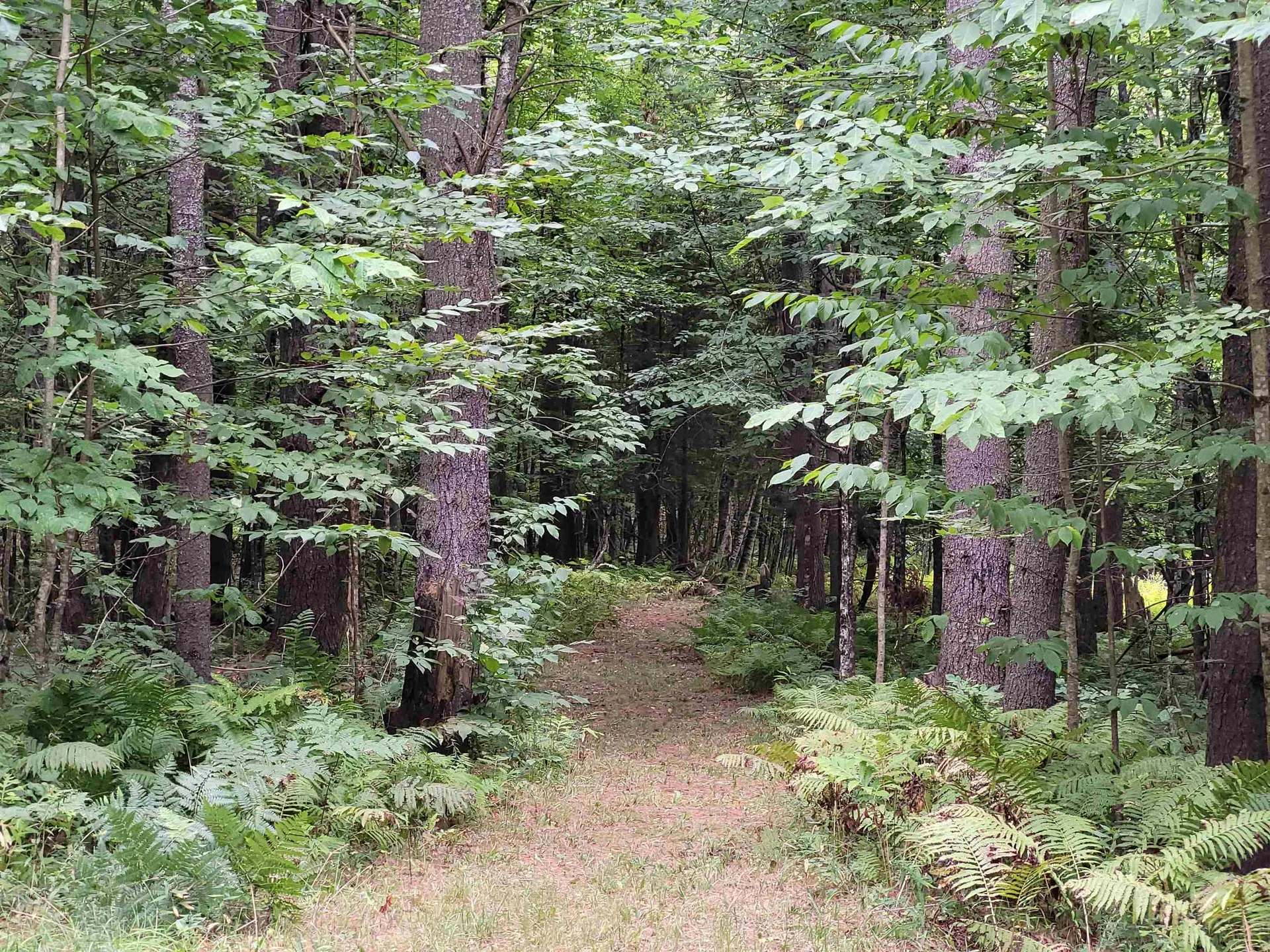 331 Stapelfeld Drive Ryegate VT 05081