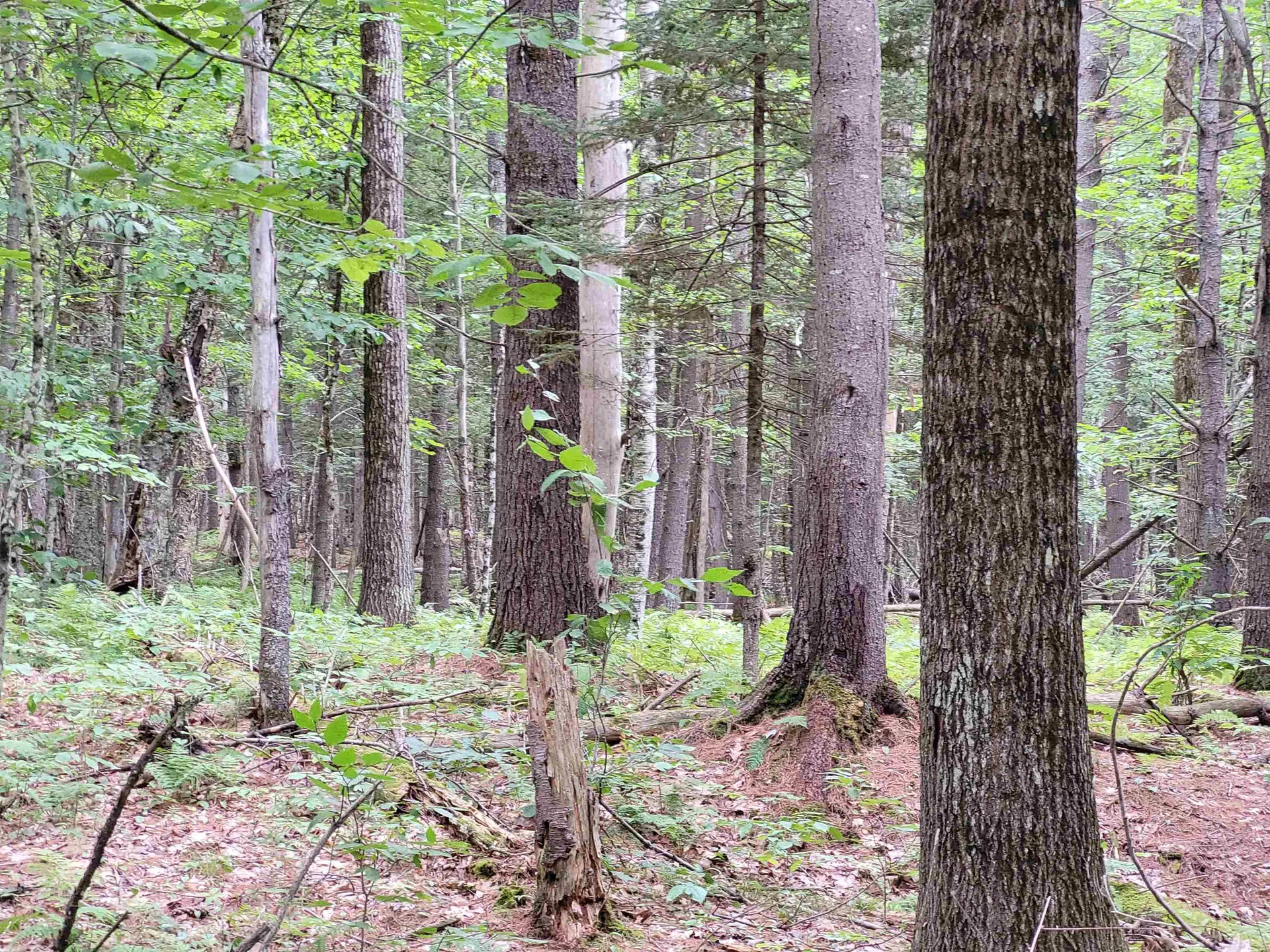 331 Stapelfeld Drive Ryegate VT 05081