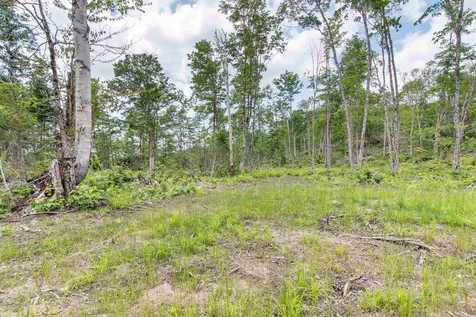 Lot 4 Diamond Pond Road Stewartstown NH 03576