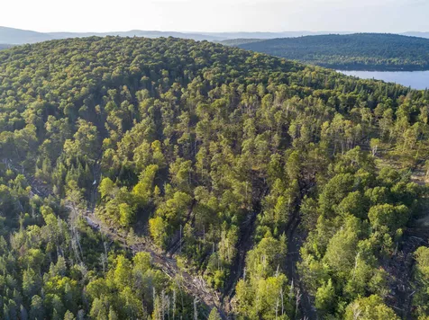 Lot 4 Diamond Pond Road Stewartstown NH 03576