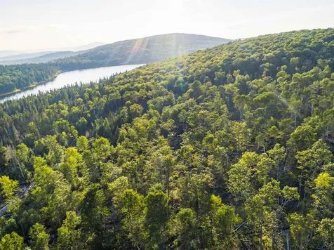 Lot 4 Diamond Pond Road Stewartstown NH 03576