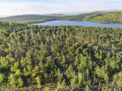 Lot 4 Diamond Pond Road Stewartstown NH 03576