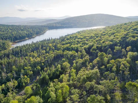 Lot 4 Diamond Pond Road Stewartstown NH 03576