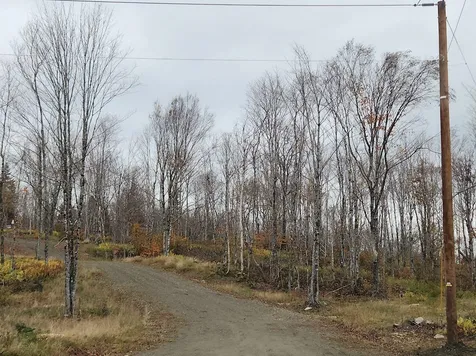Lot 4 Diamond Pond Road Stewartstown NH 03576
