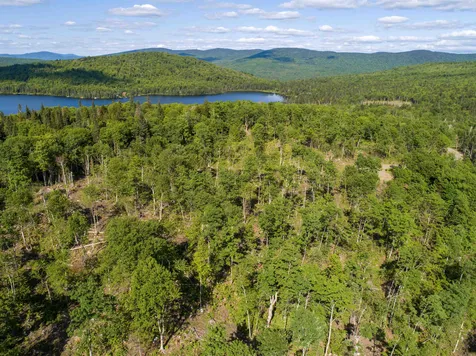 Lot 4 Diamond Pond Road Stewartstown NH 03576