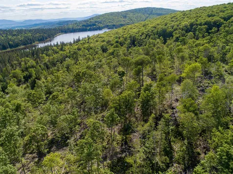 Lot 4 Diamond Pond Road Stewartstown NH 03576