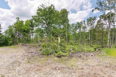 Lot 4 Diamond Pond Road Stewartstown NH 03576