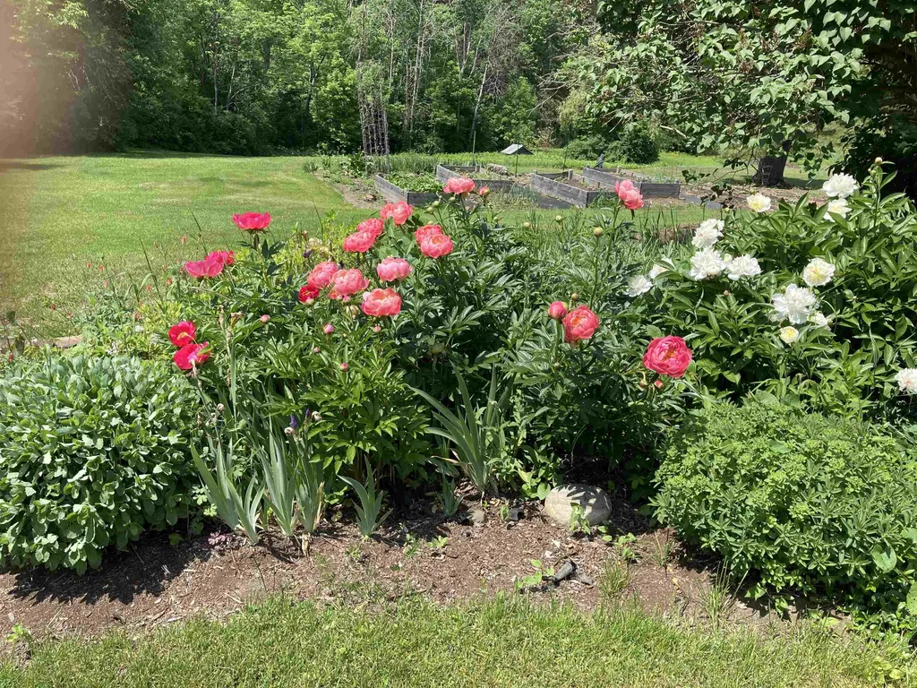 4985 North Road Royalton VT 05068