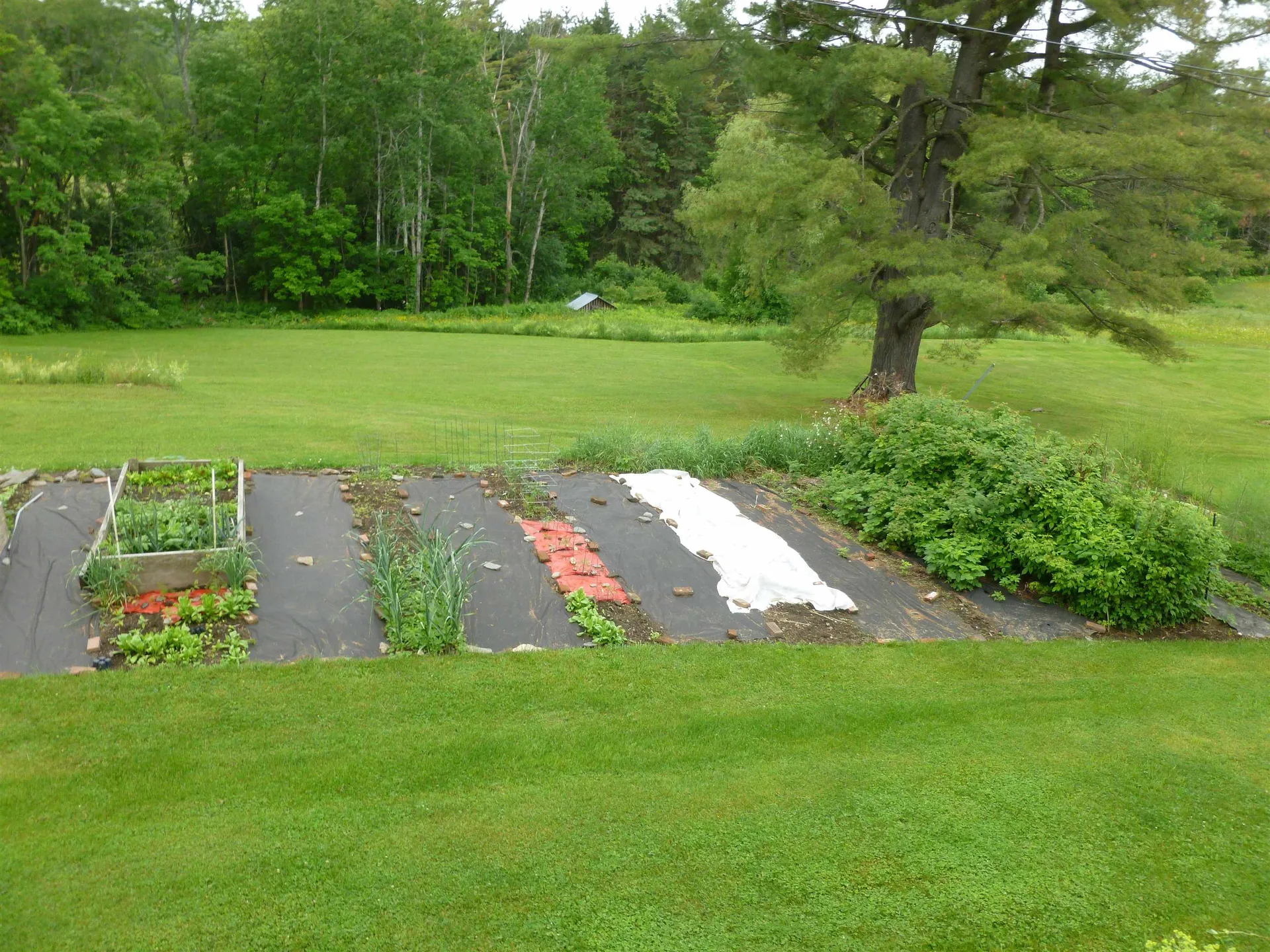 4985 North Road Royalton VT 05068