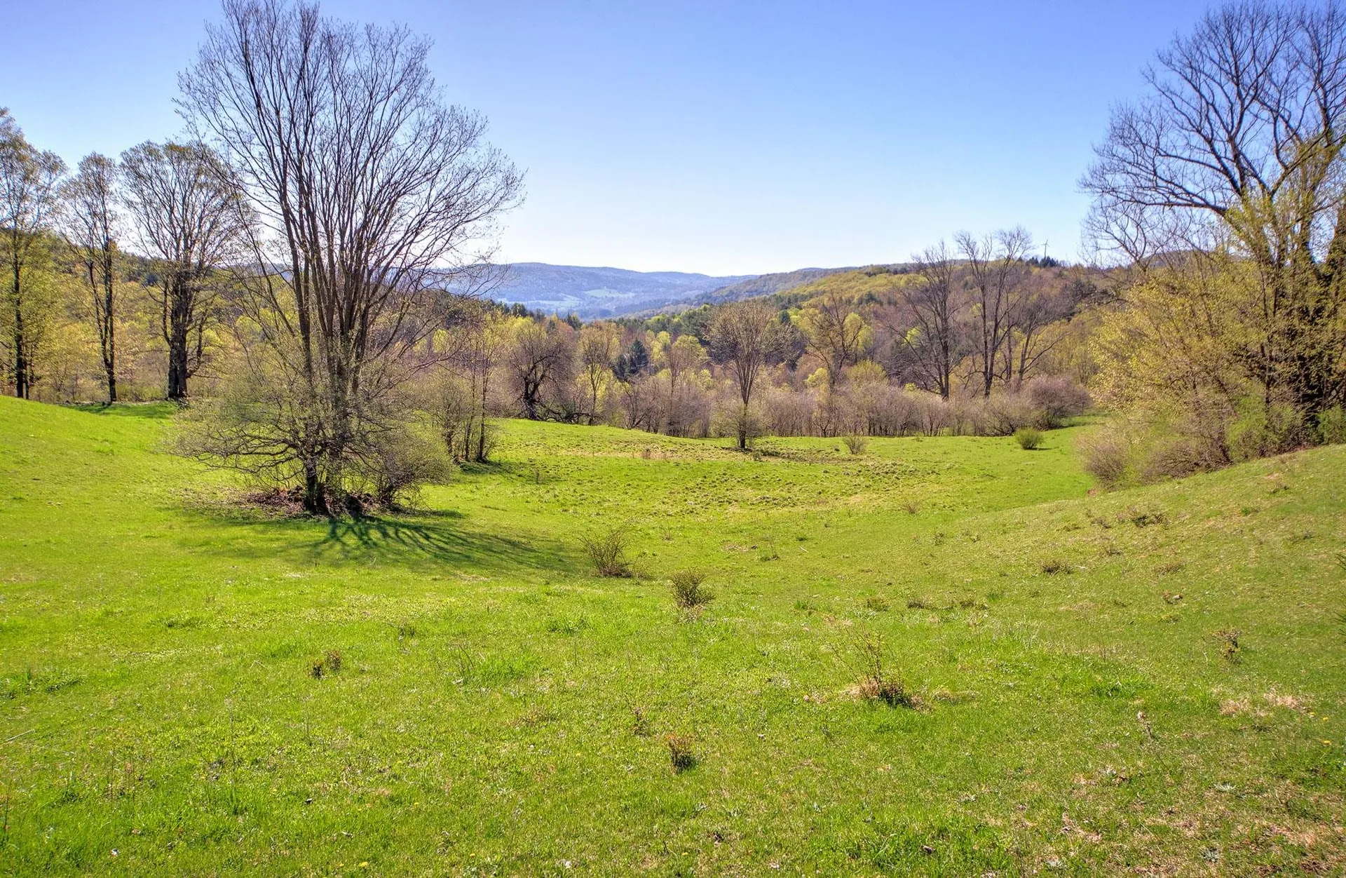 593 Austin Road Woodstock VT 05091