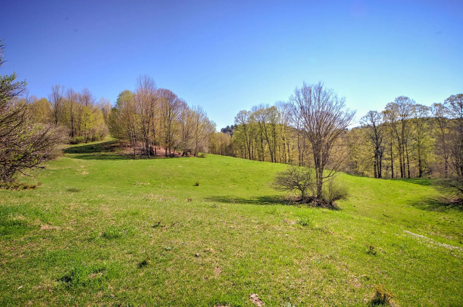 593 Austin Road Woodstock VT 05091