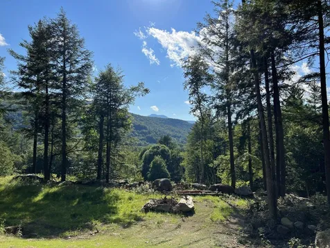 494 Farr Road Waterbury VT 05676