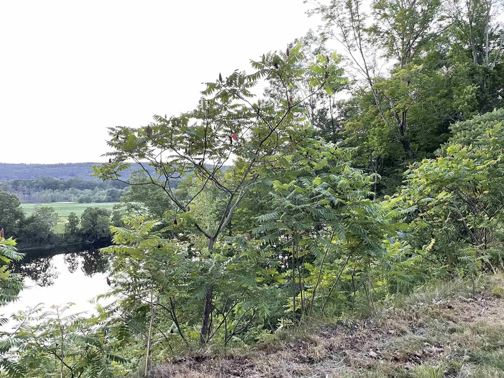 000 River Road Piermont NH 03779
