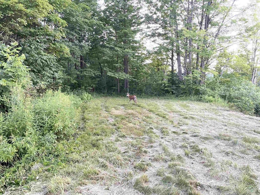 000 River Road Piermont NH 03779