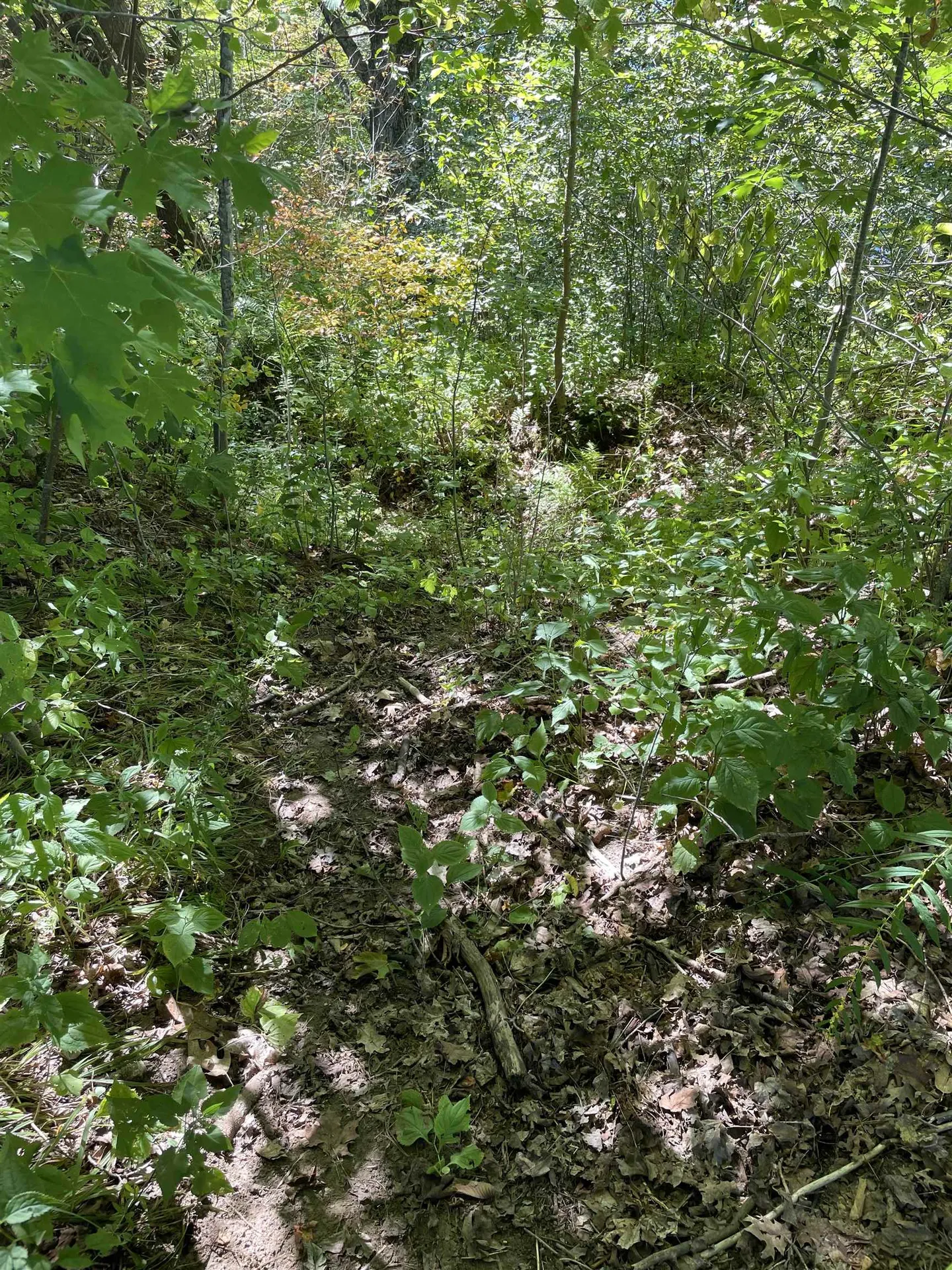 000 River Road Piermont NH 03779