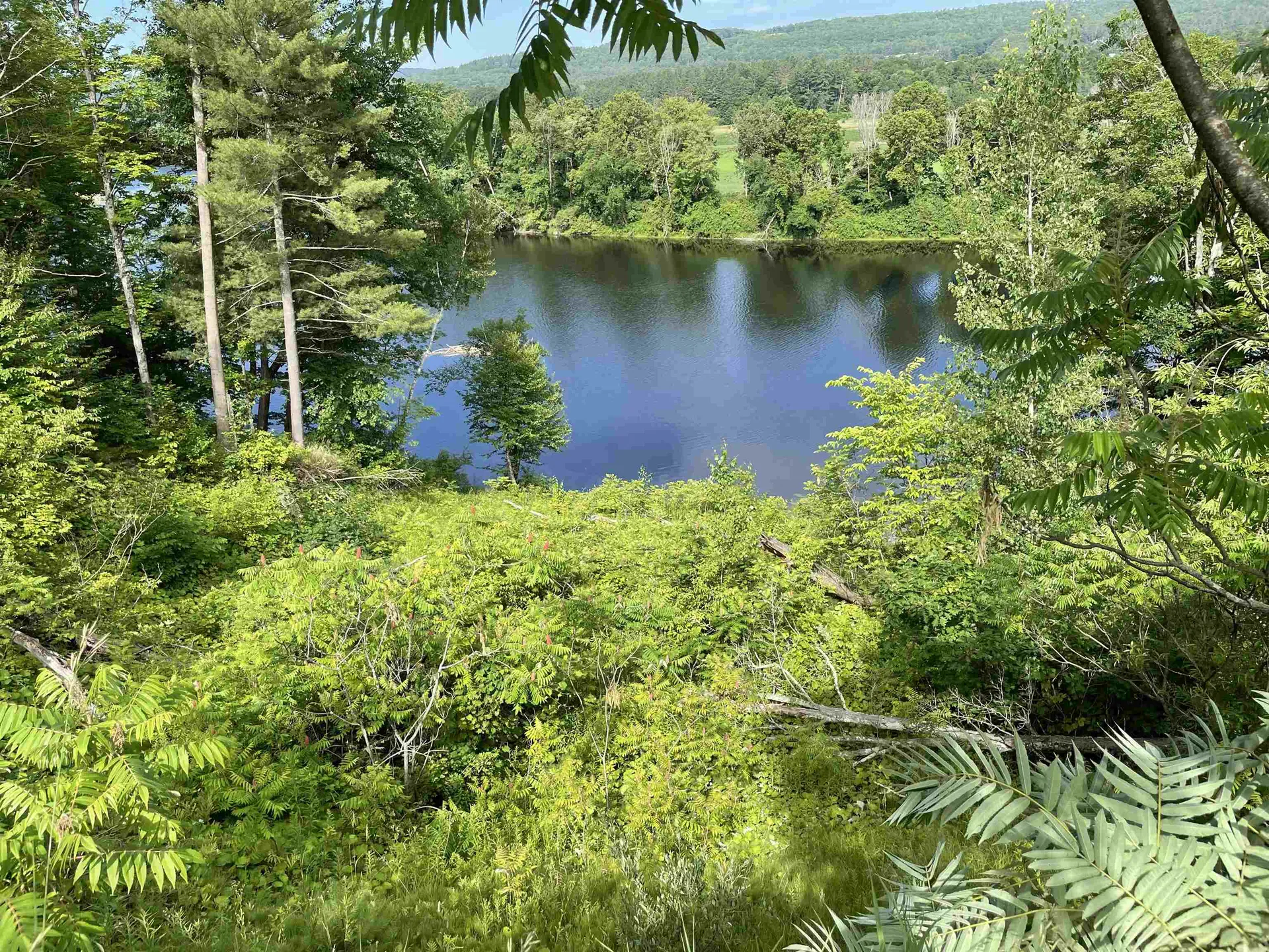 000 River Road Piermont NH 03779