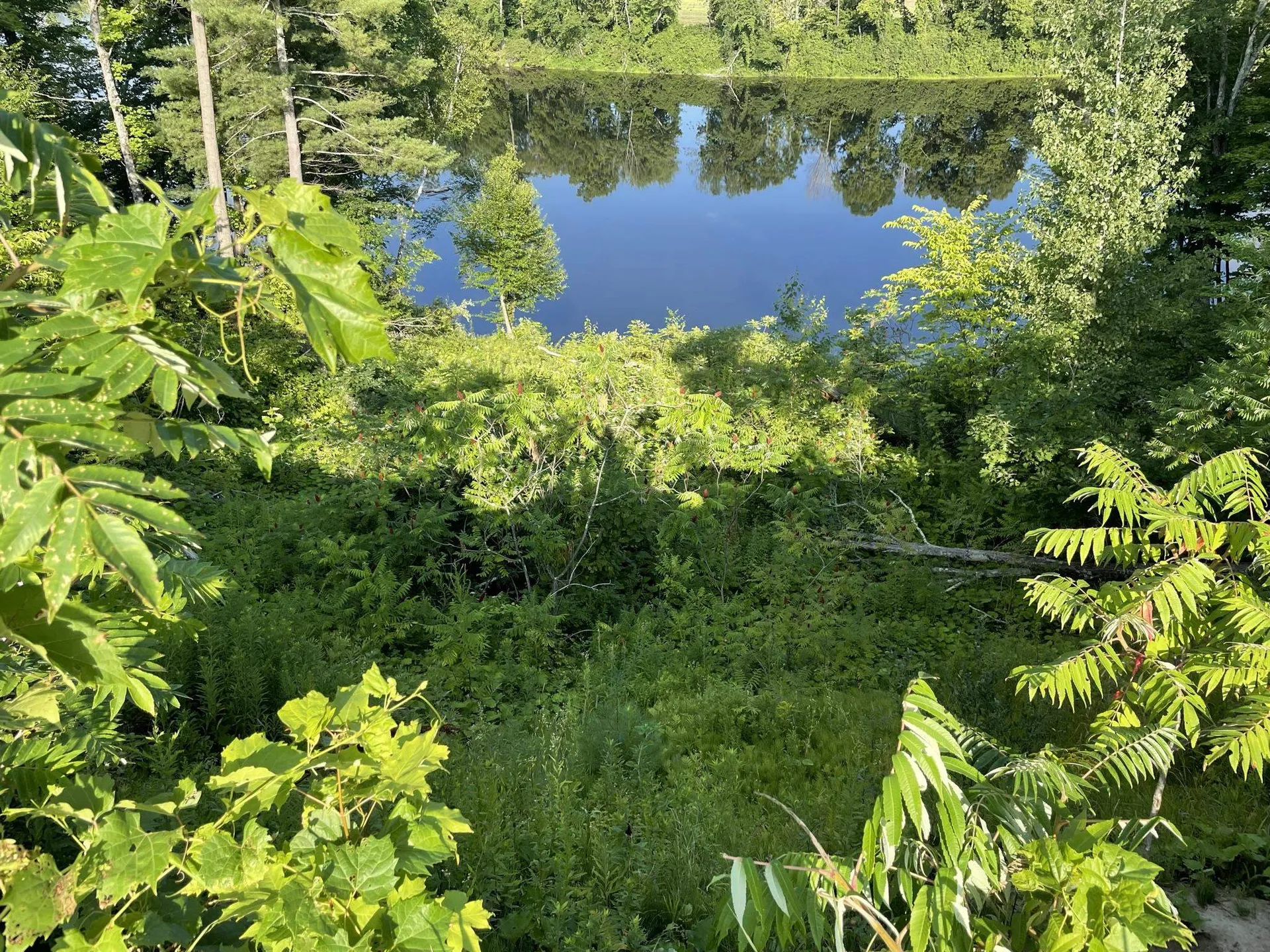 000 River Road Piermont NH 03779