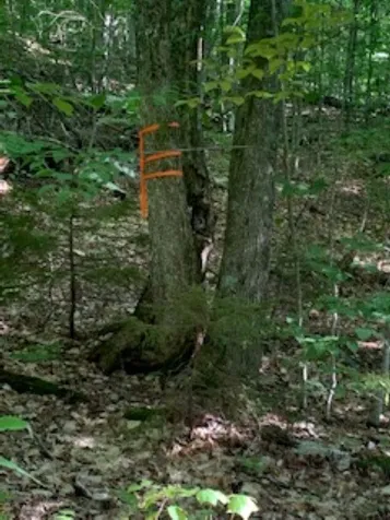 0 Hillcrest Drive Andover VT 05143