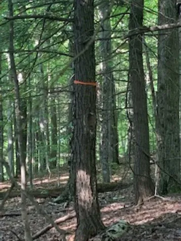 0 Hillcrest Drive Andover VT 05143