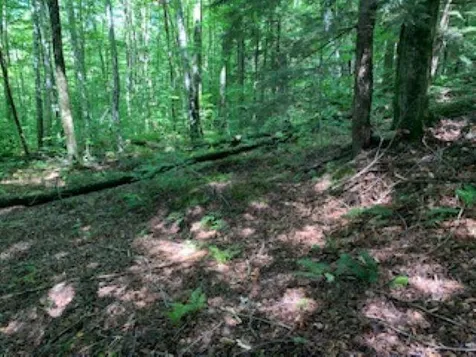 0 Hillcrest Drive Andover VT 05143