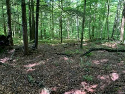 0 Hillcrest Drive Andover VT 05143