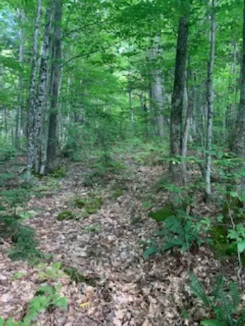 0 Hillcrest Drive Andover VT 05143