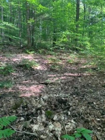 0 Hillcrest Drive Andover VT 05143