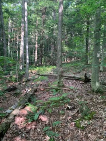 0 Hillcrest Drive Andover VT 05143