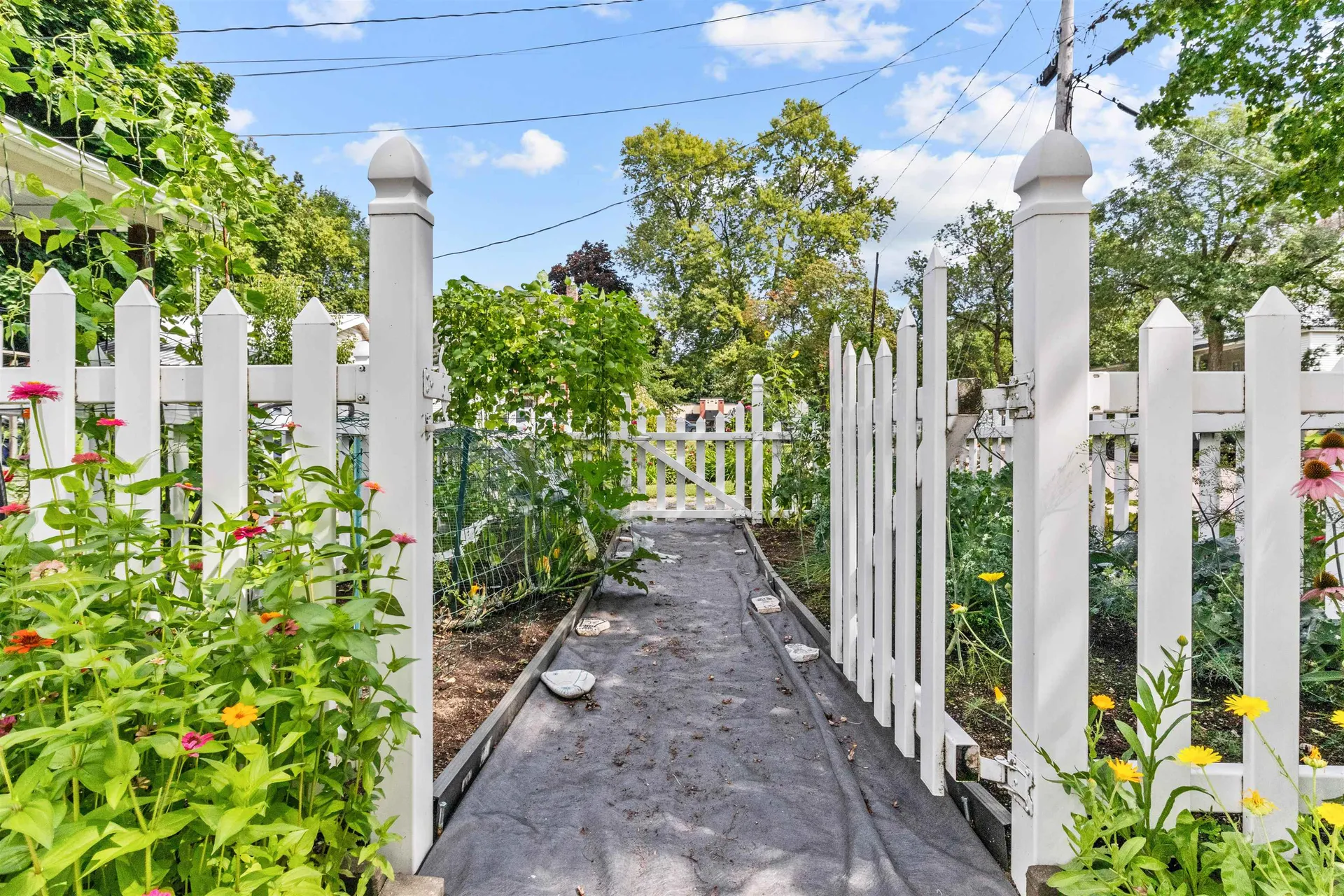180 Ferguson Avenue Burlington VT 05401