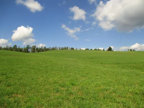 214 Mcfarland Road Danville VT 05828