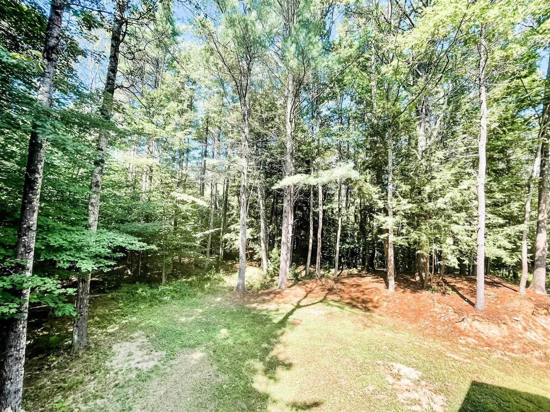 21 Franklin Pierce Drive Webster NH 03303