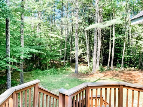 21 Franklin Pierce Drive Webster NH 03303