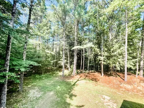 21 Franklin Pierce Drive Webster NH 03303