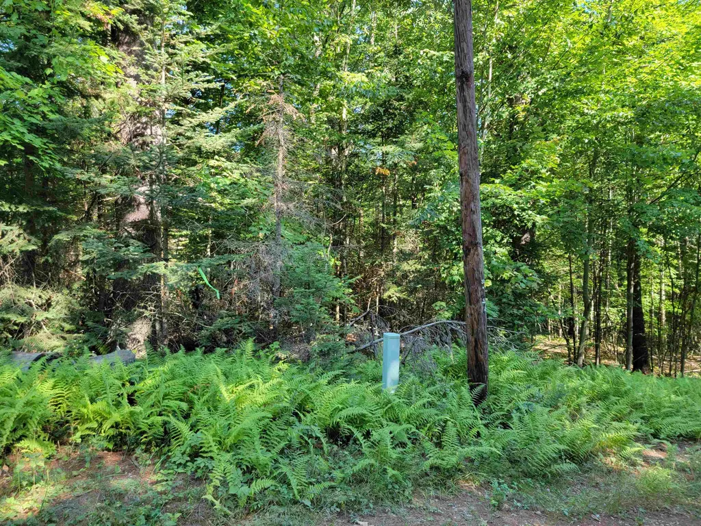 0a Wildcat Drive Haverhill NH 03765