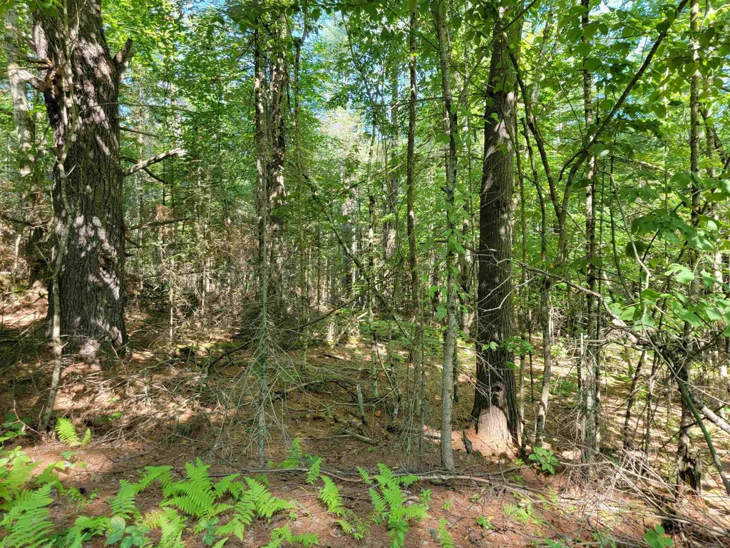 0a Wildcat Drive Haverhill NH 03765