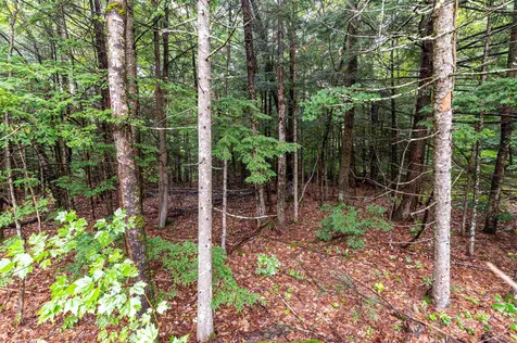 00 Governor Wentworth Highway Moultonborough NH 03254