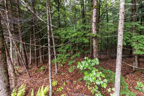 00 Governor Wentworth Highway Moultonborough NH 03254