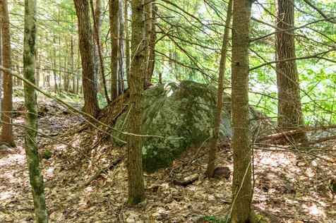 00 Governor Wentworth Highway Moultonborough NH 03254